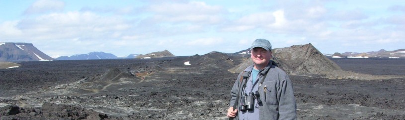 iceland lava field